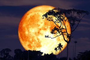 buck-moon-full-small-300x200.jpg